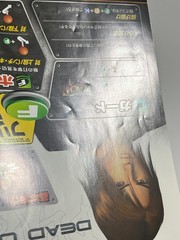Dead or Alive 2 Tecmo Arcade Art & Flyer Set Japan