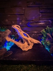 Ivory Dragon Skull, Skyrim Inspired, The Elder Scrolls Artifact, Relic Prop