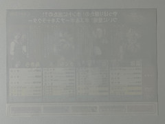 Shiritsu Justice Gakuen (Rival Schools) Capcom Original Arcade Flyer Set Japan
