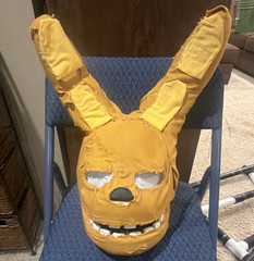 Handmade springbonie head