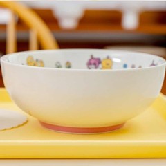 Goddess of Victory Nikke Kakao Friends Doro Noodle Bowl Spoon Set 800ml