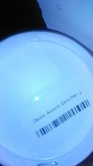 DOOM Ancient Gods DLC Part 2 Limited Lithograph