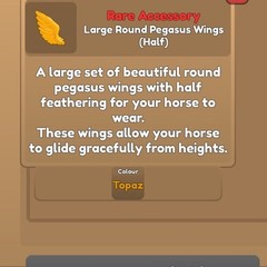 Wild Horse Islands 🌸topaz Pegasus Wings 🌸