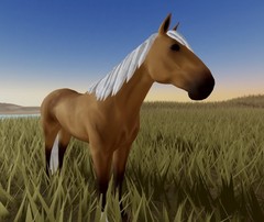 Wild Horse Islands 🌸 IUH Icey White Buckskin Standardbred Stb 🌸 IUH