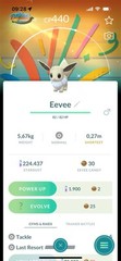Pokémon—Go-Shiny Eevee Special Delightful Days(Can Involve) Trade20k-OrPTC