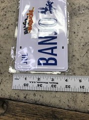 Banjo Kazooie Loot Crate Exclusive 2018 License Plate Metal Plaque w/ Stand 8×4″