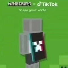 2024 Minecraft Cape Code TikTok Event Bedrock & Java Digital Item No Physical