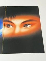 Street Fighter II’ Champion Edition Capcom CPS1 Original Arcade Flyer Japan