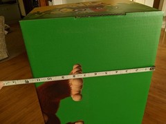 Donkey Kong Country Returns 1.16.25 HD 4 Foot Horizontal Display Walmart- 2025
