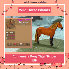 Wild Horse Islands – Connemara Pony Island Unique Hairs/IUH