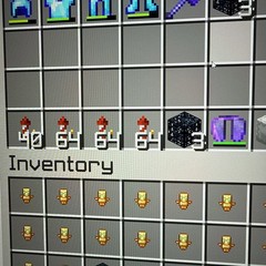 Donut Smp Elytra, 3 Skeleton Spawners, And 232 fd1 Rockets (Fast Delivery)