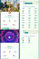 Shiny Unown X – 2 Shiny Skiddo – 9 Eevee explorer hat Mexico background – P T C