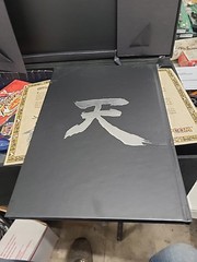 Street Fighter 25th Anniversary Collection — Collector set box & extras (NO GAME