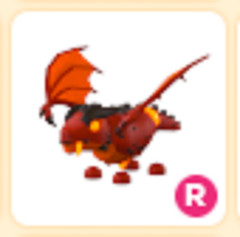 Lava Dragon – Adopt right now