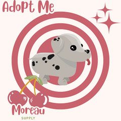 Dalmatian | Worldwide Seller | Trusted Seller ✅📌 adopt from me today!
