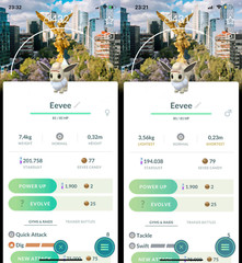 Shiny Eevee wearing an explorer hat Mexico City background costume – TRADE