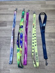 LOT 5 Video Game Lanyards Rage 2 GameStop DC Villains Final Fantasy Dishonored