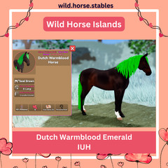 Wild Horse Islands – Dutch Warmblood Island Unique Hairs / IUH