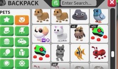 adopt me pets Random