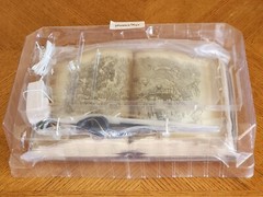 Hogwarts Legacy Collector’s Edition Floating Wand with Book Base + Box (NO GAME)