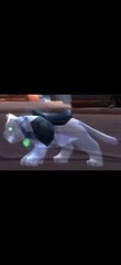 World of Warcraft – Spectral Kitten – In Game Trade – Digital Pet – NO CARD