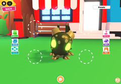 Adopt – FR Cryptid – Fly Ride Cryptid – Best Price !