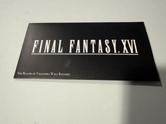 Final Fantasy XVI 16 Collector’s Edition The Realms of Valisthea 6 Wall Banners