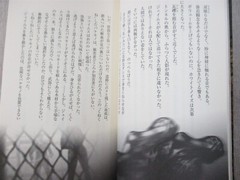 SILENT HILL 2 Novel SADAMU YAMASHITA Japan 2006 PS2 Fan Book Japan KM28