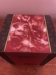 League of Legends Series 2 Vayne Figure 005 – Adult Owned