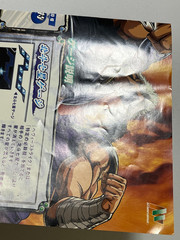 Hokuto no Ken (Fist of the North Star) Sammy Atomiswave Arcade Art Set Japan