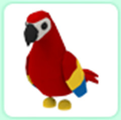 Parrot – The Trusted Store!!