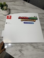 Mario and Luigi Brothership 4FT Horizontal Display -Walmart- 2024 #3