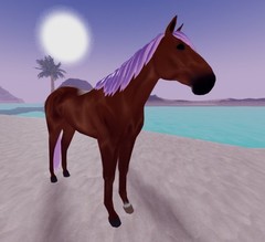 Wild Horse Islands 🌸 IUH Pink Pearl Standardbred Stb 🌸 IUH