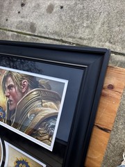 RARE WoW Battle for Azeroth Blizzard Flag Relic Framed 23×19 w/COA