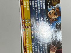 Hokuto no Ken (Fist of the North Star) Sammy Atomiswave Arcade Art Set Japan