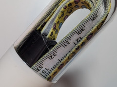 SDCC 2025 – Neopets – USB Lanyard