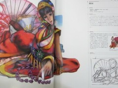 AKIRA YASUDA Art Illustration Book AKIMANDO Street Fighter II SB09 SeeCondition