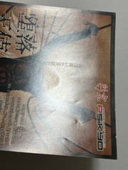 Daraku Tenshi The Fallen Angels Arcade Flyer Japan (PSiKYO, 1998)