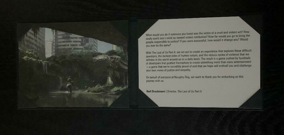 THE LAST OF US PART II ELLIE EDITION LITHOGRAPH ART PRINT PS4 NEW *NO GAME*