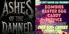 Call of Duty Black Ops 7 BO7 Zombies Ashes Of The Damned Easter Egg Carry FAST**