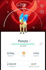 Pokémon Shiny Ponyta wearing a Candela themed accessory Team Valor