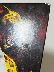 Bloody Roar 2 Arcade Art Set Japan
