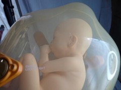Death Stranding Collector’s Edition BB Pod Figure & PS4 Game Doll Case – Japan