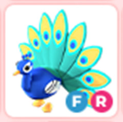 FR Peacock – Adopt right now