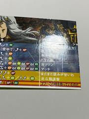 Hokuto no Ken (Fist of the North Star) Sammy Atomiswave Arcade Art Set Japan