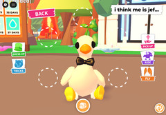 FULL GROWN RIDE ONLY Goose Adopt Me FAST DELIVERY
