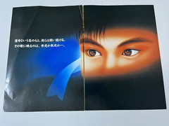 Street Fighter II’ Champion Edition Capcom CPS1 Original Arcade Flyer Japan