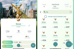 9 Eevee Explorer Hat Background Mexico Safari -MlNl P T C – Read Description