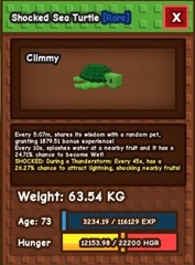 Titanic Radiant Sea Turtle ( 63.54KG / AGE 73 )