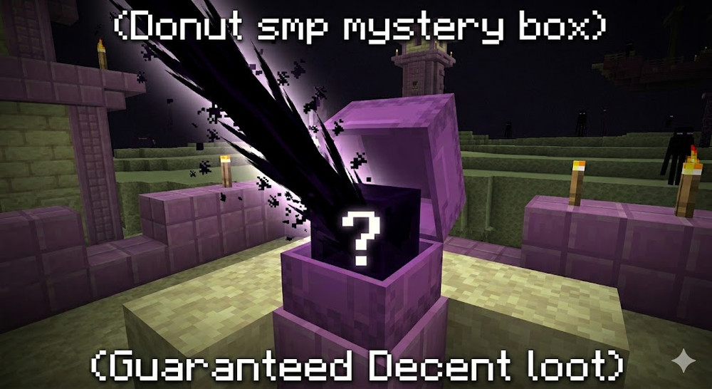 Donut smp mystery box 🟢INSTANT DELIVERY🟢CHEAP guaranteed 5m+